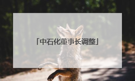 中石化董事长调整