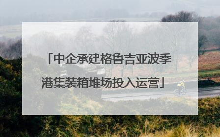 中企承建格鲁吉亚波季港集装箱堆场投入运营