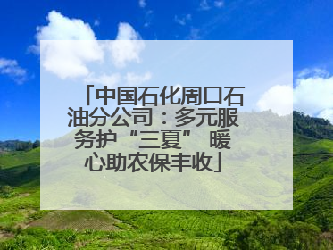 中国石化周口石油分公司：多元服务护“三夏” 暖心助农保丰收