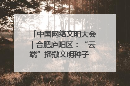 中国网络文明大会｜合肥庐阳区：“云端”播撒文明种子 共建清朗网络空间