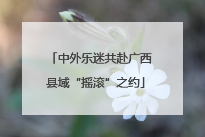 中外乐迷共赴广西县域“摇滚”之约