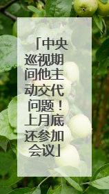 中央巡视期间他主动交代问题！上月底还参加会议