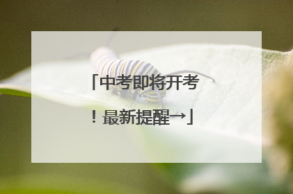 中考即将开考！最新提醒→