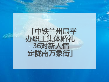 中铁兰州局举办职工集体婚礼 36对新人情定陇南万象街