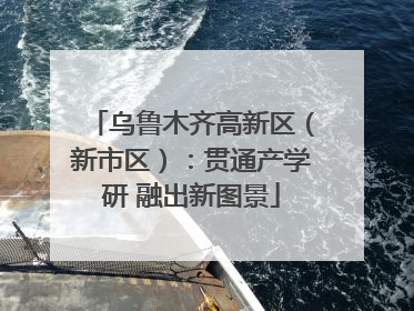 乌鲁木齐高新区（新市区）：贯通产学研 融出新图景