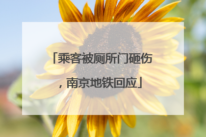 乘客被厕所门砸伤，南京地铁回应