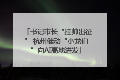 书记市长“挂帅出征” 杭州催动“小龙们”向AI高地进发