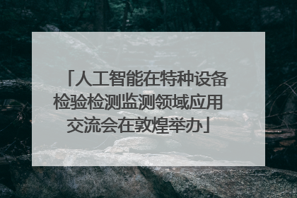 人工智能在特种设备检验检测监测领域应用交流会在敦煌举办