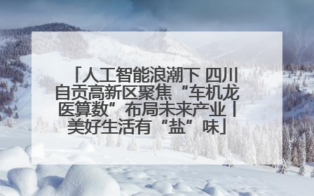 人工智能浪潮下 四川自贡高新区聚焦“车机龙医算数”布局未来产业丨美好生活有“盐”味