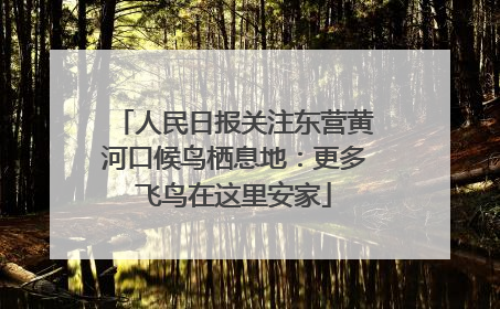 人民日报关注东营黄河口候鸟栖息地：更多飞鸟在这里安家