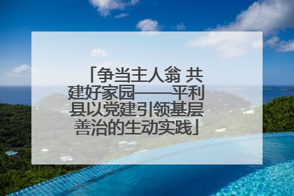 争当主人翁 共建好家园——平利县以党建引领基层善治的生动实践