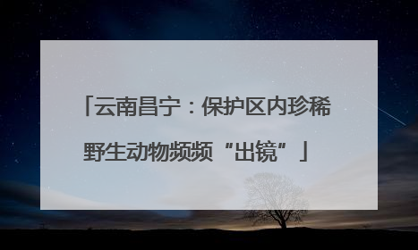 云南昌宁：保护区内珍稀野生动物频频“出镜”