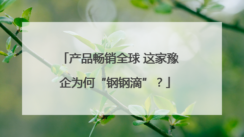 产品畅销全球 这家豫企为何“钢钢滴”？