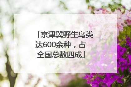 京津冀野生鸟类达600余种，占全国总数四成