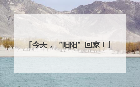 今天，“阳阳”回家！