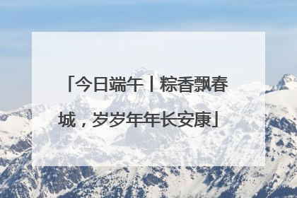 今日端午丨粽香飘春城，岁岁年年长安康