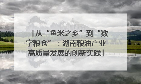 从“鱼米之乡”到“数字粮仓”：湖南粮油产业高质量发展的创新实践