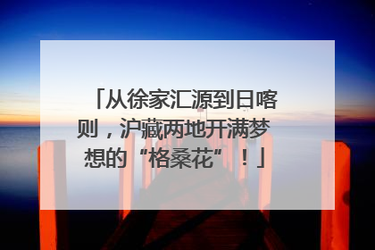 从徐家汇源到日喀则，沪藏两地开满梦想的“格桑花”！