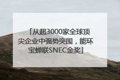 从超3000家全球顶尖企业中强势突围，能环宝蝉联SNEC金奖