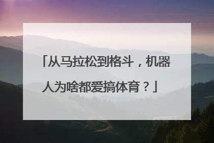 从马拉松到格斗，机器人为啥都爱搞体育？