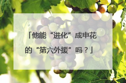他能“进化”成申花的“第六外援”吗？