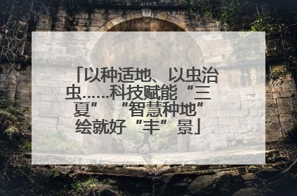以种适地、以虫治虫……科技赋能“三夏” “智慧种地”绘就好“丰”景