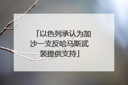 以色列承认为加沙一支反哈马斯武装提供支持