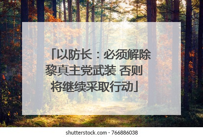 以防长：必须解除黎真主党武装 否则将继续采取行动