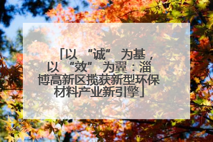 以 “诚” 为基，以 “效” 为翼：淄博高新区揽获新型环保材料产业新引擎