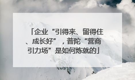 企业“引得来、留得住、成长好”，普陀“营商引力场”是如何炼就的