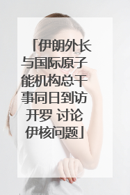 伊朗外长与国际原子能机构总干事同日到访开罗 讨论伊核问题