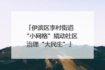 伊滨区李村街道 “小网格”撬动社区治理“大民生”