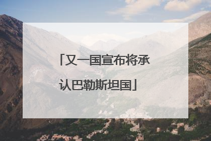 又一国宣布将承认巴勒斯坦国