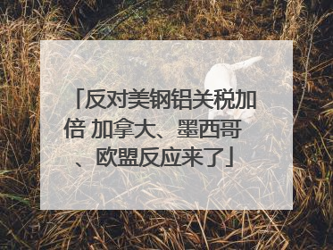 反对美钢铝关税加倍 加拿大、墨西哥、欧盟反应来了