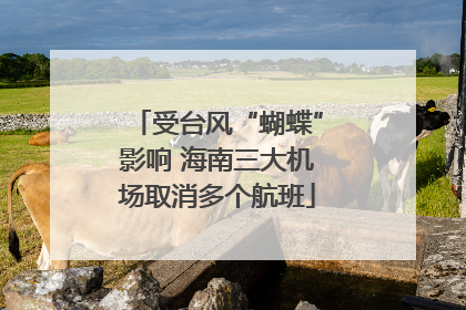 受台风“蝴蝶”影响 海南三大机场取消多个航班