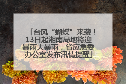 台风“蝴蝶”来袭！13日起湘南局地将迎暴雨大暴雨，省应急委办公室发布汛情提醒