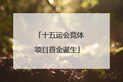 十五运会竞体项目首金诞生