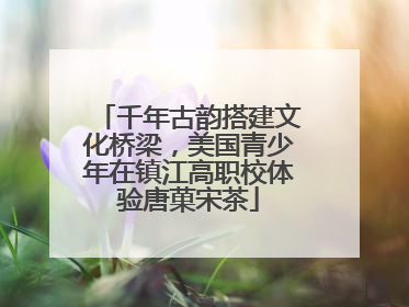 千年古韵搭建文化桥梁，美国青少年在镇江高职校体验唐菓宋茶