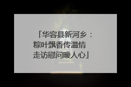 华容县新河乡：粽叶飘香传温情 走访慰问暖人心