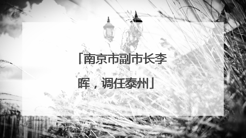 南京市副市长李晖，调任泰州