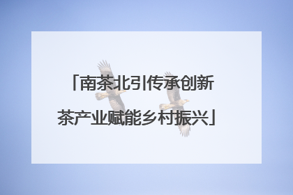 南茶北引传承创新 茶产业赋能乡村振兴