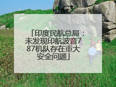 印度民航总局：未发现印航波音787机队存在重大安全问题