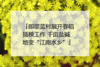 即墨蓝村展开春稻插秧工作 千亩盐碱地变“江南水乡”