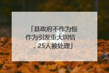 县政府不作为慢作为引发重大舆情，25人被处理