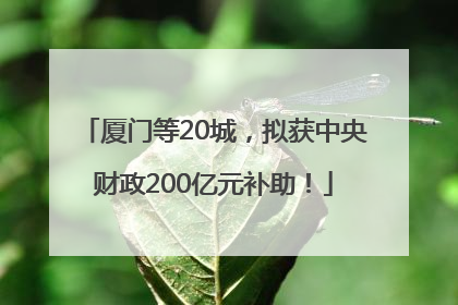厦门等20城，拟获中央财政200亿元补助！