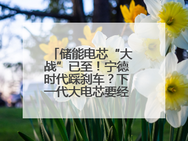 储能电芯“大战”已至！宁德时代踩刹车？下一代大电芯要经得起三重考验