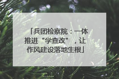 兵团检察院：一体推进“学查改”，让作风建设落地生根