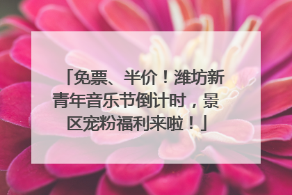免票、半价！潍坊新青年音乐节倒计时，景区宠粉福利来啦！