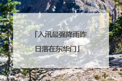 入汛最强降雨昨日落在东华门