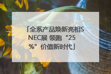 全系产品焕新亮相SNEC展 领跑“25%”价值新时代
